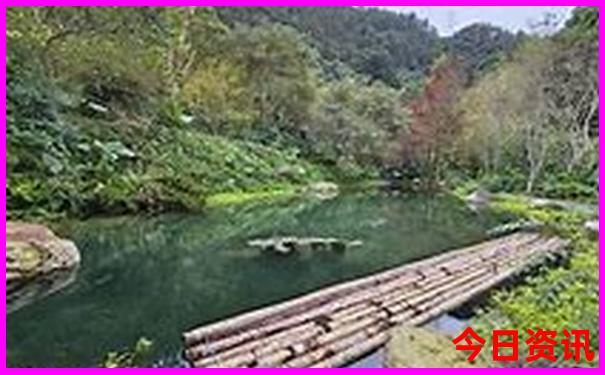 5天去哪里玩最合适